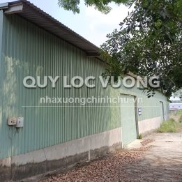 Ảnh đại diện