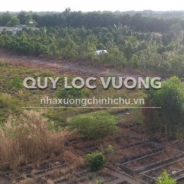 Ảnh đại diện