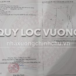 Ảnh đại diện