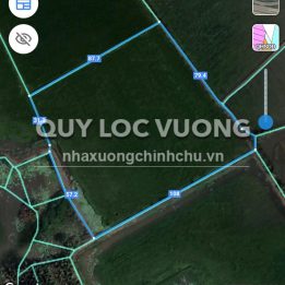 Ảnh đại diện