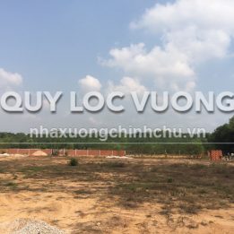 Ảnh đại diện