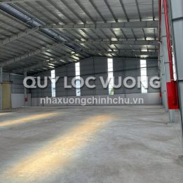 Ảnh đại diện