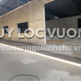 Ảnh đại diện