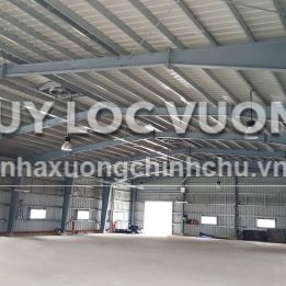 Ảnh đại diện