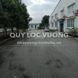 Ảnh đại diện