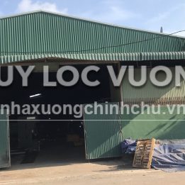 Ảnh đại diện