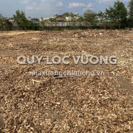 Ảnh đại diện