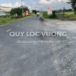 Ảnh đại diện