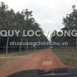 Ảnh đại diện