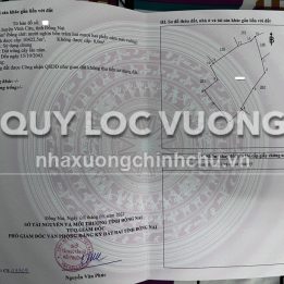 Ảnh đại diện
