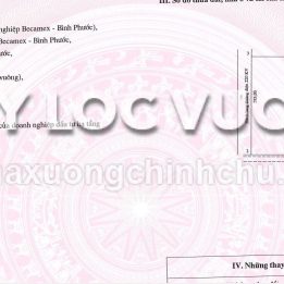 Ảnh đại diện