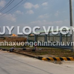Ảnh đại diện