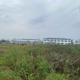 Ảnh đại diện