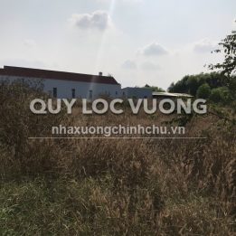 Ảnh đại diện