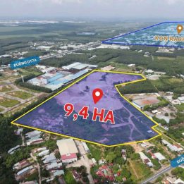 Ảnh đại diện
