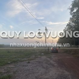Ảnh đại diện