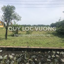 Ảnh đại diện