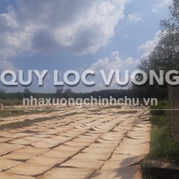 Ảnh đại diện
