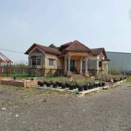 Ảnh đại diện