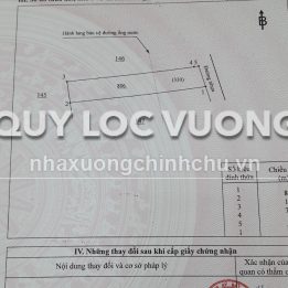 Ảnh đại diện