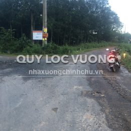 Ảnh đại diện