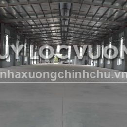 Ảnh đại diện