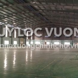Ảnh đại diện