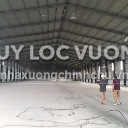 Ảnh đại diện