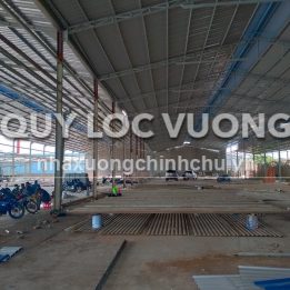 Ảnh đại diện