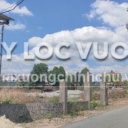 Ảnh đại diện