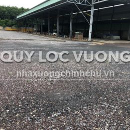Ảnh đại diện