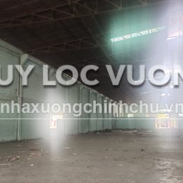 Ảnh đại diện