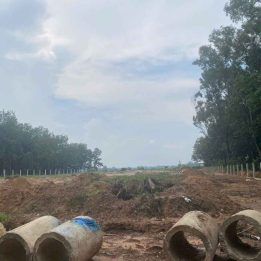 Ảnh đại diện