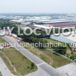 Ảnh đại diện