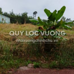 Ảnh đại diện