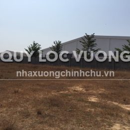 Ảnh đại diện