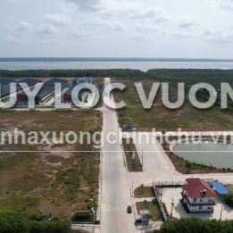 Ảnh đại diện