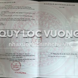 Ảnh đại diện