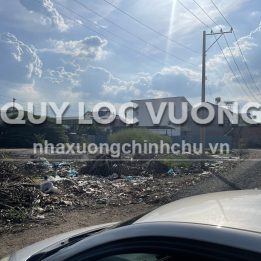 Ảnh đại diện