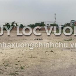 Ảnh đại diện