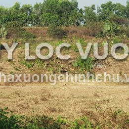 Ảnh đại diện