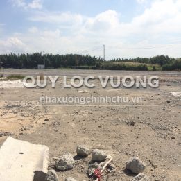Ảnh đại diện