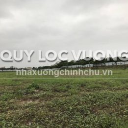 Ảnh đại diện