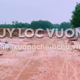 Ảnh đại diện