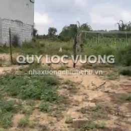 Ảnh đại diện