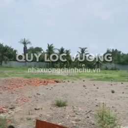 Ảnh đại diện