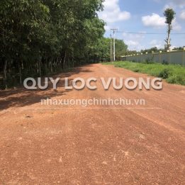 Ảnh đại diện