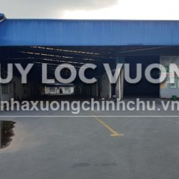 Ảnh đại diện