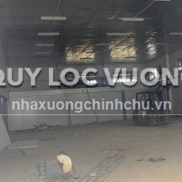 Ảnh đại diện