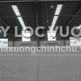 Ảnh đại diện